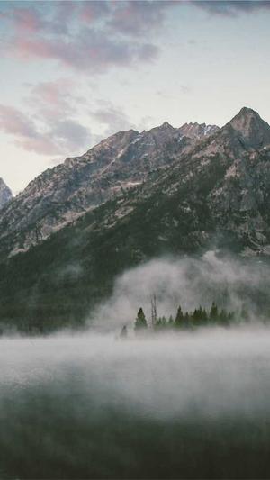 吃佛手瓜的大忌截图3