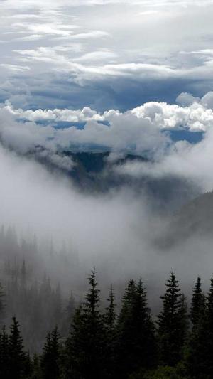 718娱乐吃瓜截图2